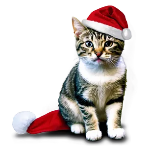 Christmas Cat Meme PNG Prt69 PNG