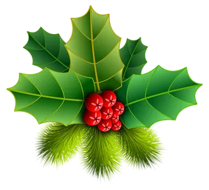 Christmas Holly Berries Illustration