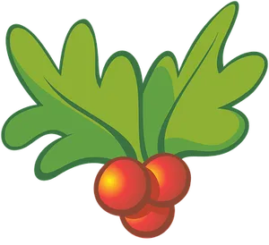 Christmas Holly Illustration PNG image