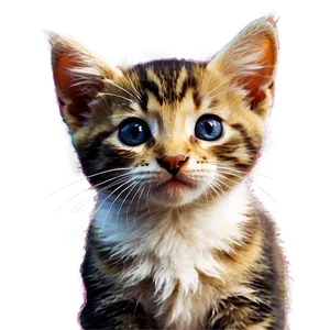 Christmas Kitten PNG 05232024