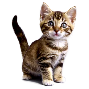 Christmas Kitten PNG Twd