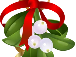 Christmas Mistletoe Red Ribbon PNG