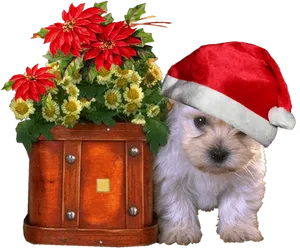 Christmas Puppy With Santa Hatand Flowers PNG image