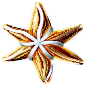 Christmas Star Design PNG 40 PNG
