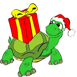 Christmas Turtlewith Gift