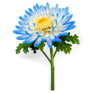 Chrysanthemum Flower Transparent PNG Gix14 PNG