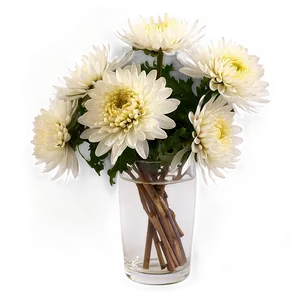 Chrysanthemums In Vase PNG Pns80 PNG