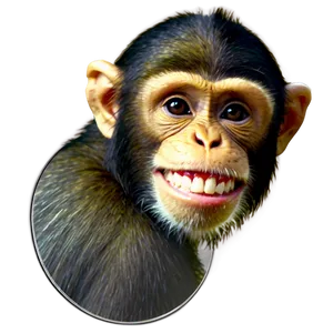 Chuckling Monkey Png Cob PNG image