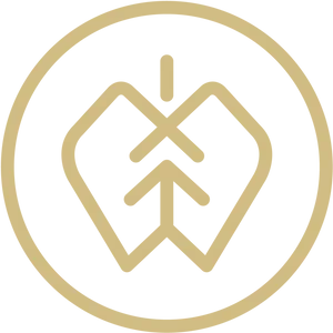 Cider Brand Logo Design PNG image
