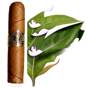 Cigar Humidor Png Fwp PNG image
