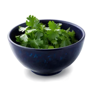 Cilantro In Bowl PNG 38