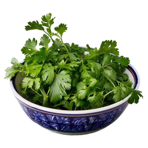 Cilantro In Bowl PNG 64