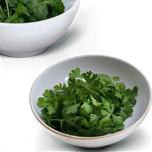 Cilantro In Bowl PNG Ian45