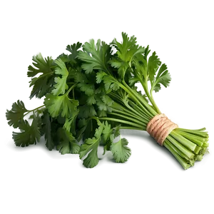 Cilantro Recipe Ingredient PNG Dpf79 PNG