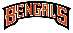 Cincinnati Bengals Team Logo PNG image