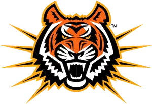 Cincinnati Bengals Team Logo PNG image