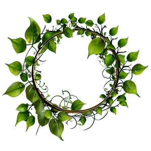 Circle Frame With Leaves PNG 06122024 PNG