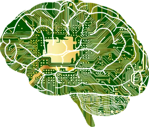 Circuit Board Brain Illustration PNG