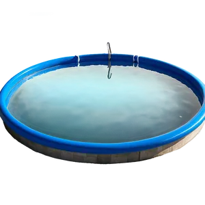 Circular Swimming Pool PNG 99