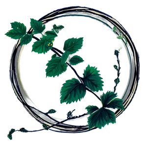 Circular Vine Illustration PNG image