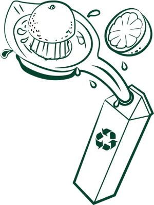Citrus Juice Extraction Recycle Package PNG