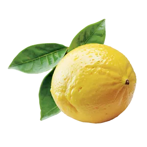 Citrus Lemon Png Ulo23 PNG image