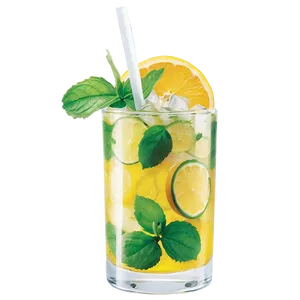 Citrus Mojito Png 29 PNG image