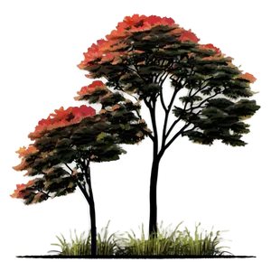 City Park Tree Elevation PNG 06262024 PNG