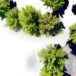 City Park Tree Top View PNG Lof53