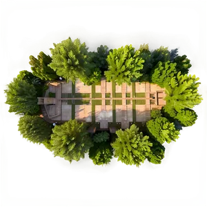 City Park Tree Top View PNG Rid