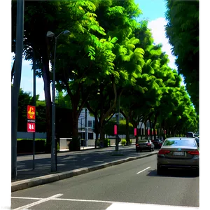 City Street Trees PNG 06252024