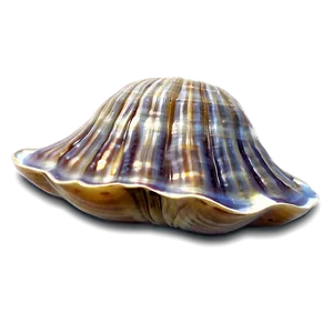 Clam Festival Mascot PNG Sjb80 PNG