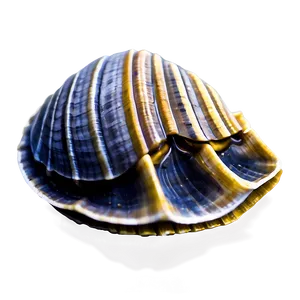 Clam In A Deep Dive PNG 05242024 PNG