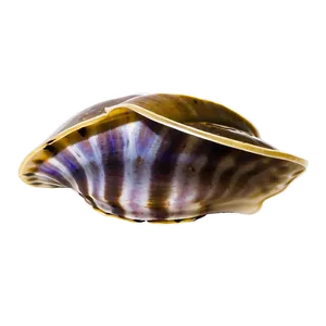 Clam In A Deep Dive PNG Rgg98 PNG
