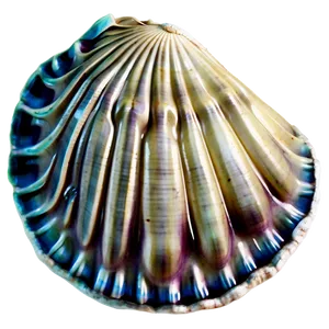 Clam In Vintage Sea Map PNG 05242024 PNG