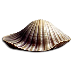Clam In Vintage Sea Map PNG Ytm PNG