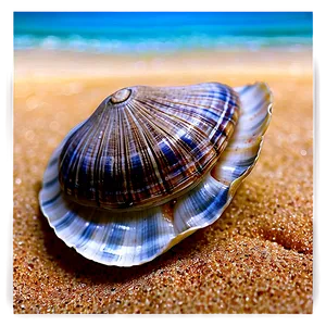 Clam On Beach Sand Png 92 PNG image