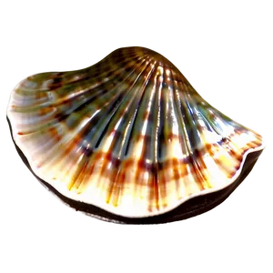 Clam Shell Emblem PNG 95