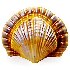 Clam Shell Mosaic PNG 06292024