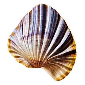 Clam Silhouette PNG 05242024