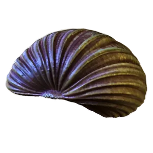 Clam Silhouette PNG Ksl
