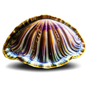 Clam With Bubbles PNG 05242024