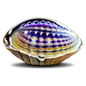 Clam With Bubbles PNG 18