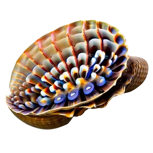 Clam With Coral Reef Background PNG 05242024