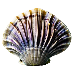 Clam With Coral Reef Background PNG 05242024