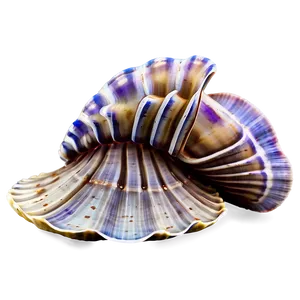 Clam With Coral Reef Background PNG 05242024