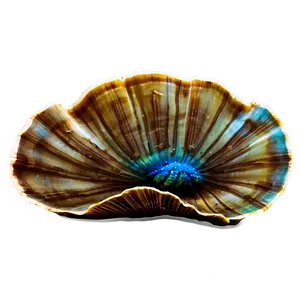Clam With Coral Reef Background PNG Ynl21