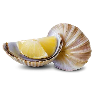 Clam With Lemon Slice PNG 05242024