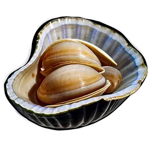 Clam With Sea Salt PNG 88 PNG
