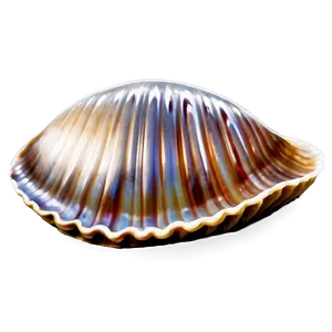 Clam With Shiny Pearl Png 05242024 PNG image